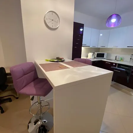 Central Apartment Apartment Timisoara