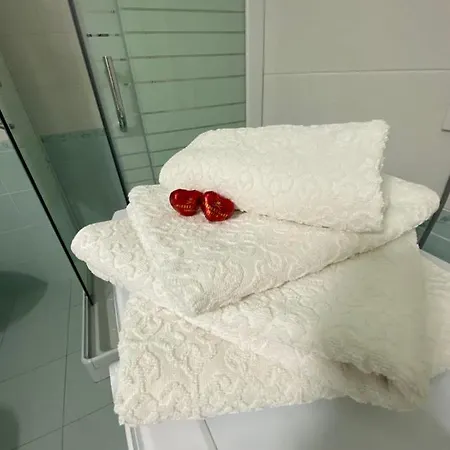 Central Apartment Apartment Timisoara