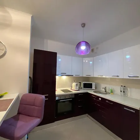 Central Apartment Apartman Temesvár