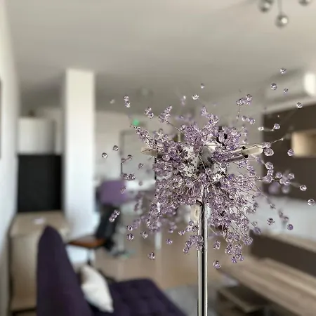 Apartman Central Apartment