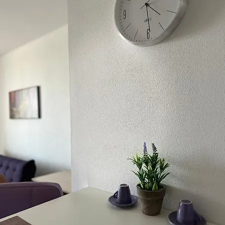 Central Apartment