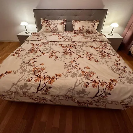 Central Apartment