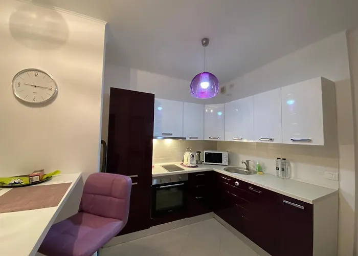 Central Apartment Apartment Timişoara