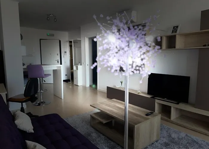 Central Apartment Apartment