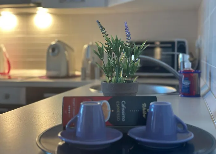 Central Apartment * Timişoara