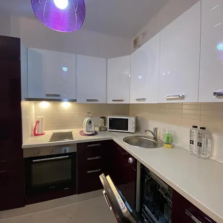 Central Apartment Тимишоара