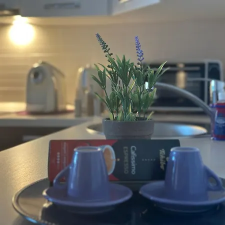 Central Apartment * Тимишоара