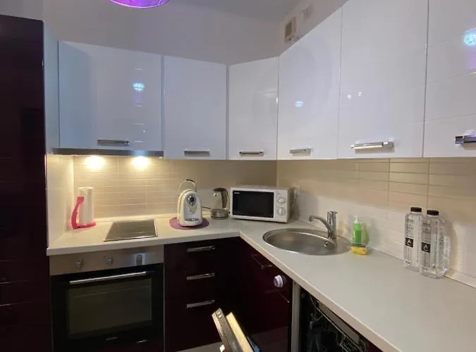 Central Apartment Τιμισοάρα